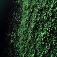 Moringa powder displayed in a vibrant green heap photo