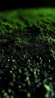 Moringa powder's bright green color and fine texture photo