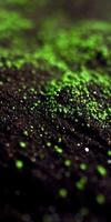 Moringa powder scattered on a textured dark surface photo