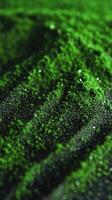 Moringa powder texture with rich green color and fine grains photo