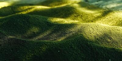 Moringa powder spread out in natural light on textured surface photo