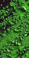 Moringa powder spread across a dark surface in vibrant green hues photo