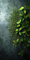 Moringa powder and fresh leaves arranged on a textured surface photo