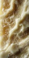 Gouda cheese showcasing unique texture and rich color variations photo