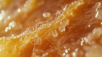 Gouda cheese close-up revealing texture and flavor photo