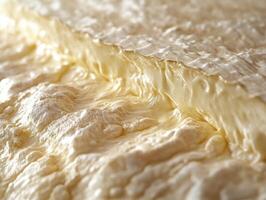 A close up of a piece of cheese photo