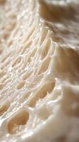 Creamy brie cheese close-up with smooth texture and holes photo