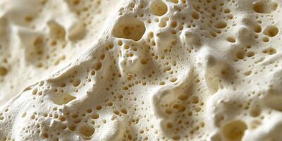 Texture of soft cheese showcasing unique porous structure photo