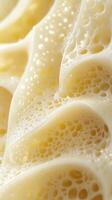 Soft cheese texture showcasing creamy bubbles and contours photo