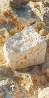 Delightful goat cheese placed on rustic wooden table photo