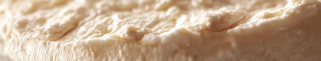 Enjoying creamy goat cheese on a rustic wooden board photo