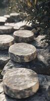 Goat cheese rounds arranged on a rustic stone surface outdoors photo