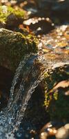 Flowing river water cascades over mossy rocks in autumn light photo