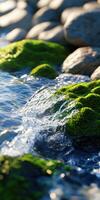 River water flowing over moss-covered rocks in sunlight photo