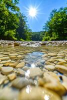 Sunlight reflecting on clear river water and pebbles with green trees photo