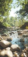 Clear river water flows between stones under sunlight photo