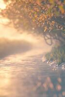 Gentle river water flows quietly beside lush greenery at sunrise photo