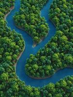 Winding river flows through lush green forests in serene landscape photo
