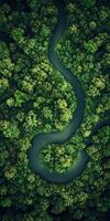 River winding through lush green forest landscape photo