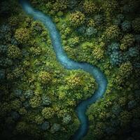 An aerial view of a river in the forest photo