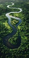 Serpentine river flows through lush green forest landscape photo