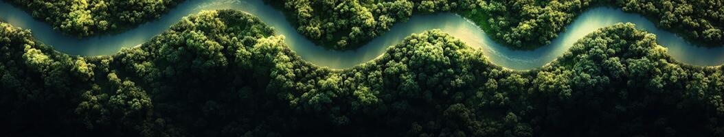 Winding river flows through lush green forest landscape in daylight photo
