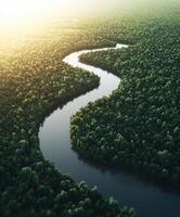 Winding river flows through lush green forest landscape at sunset photo