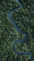 An aerial view of a river in the middle of a forest photo