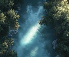 Clear river water flows through a dense forest during daytime photo