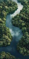 A river flowing through a forest with trees photo