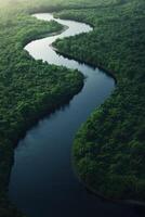 A river flowing through a lush green forest photo