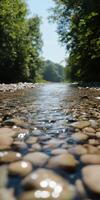 Clear river water flows gently over smooth pebbles in nature photo