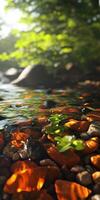 Calm river water reflecting sunlight with colorful pebbles photo