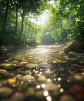 Gentle river flows through a sunlit forest surrounded by stones photo