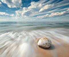 Beautiful seashell resting on sandy beach with gentle waves photo