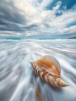 Waves gently lap around a large seashell on the beach photo