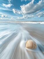 Serene shell rests on wet sandy shore under blue sky photo