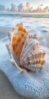 A shell on the beach with waves and sky photo