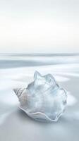 A shell on the beach with water in the background photo