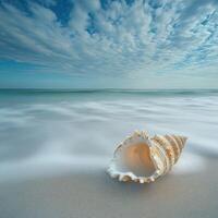 Ocean tide gently washes over a seashell on a serene beach photo
