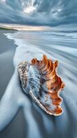 Beautiful shell resting on a sandy beach under cloudy sky photo