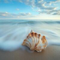 Seashell resting on sandy beach with gentle waves at sunrise photo