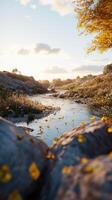 Mountain river flows gently through a serene landscape with autumn foliage during sunset, capturing nature's tranquility and beauty photo