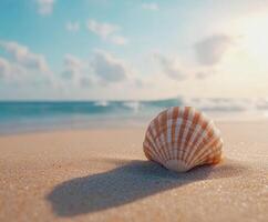 Beautiful seashell resting on sandy beach with ocean waves and blue sky in the background during a sunny day photo