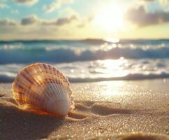 Seashell resting on golden sand with sunset glow in the background along a tranquil beach photo