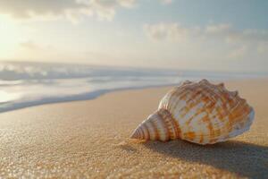 Seashell resting on a tranquil beach at sunset, capturing nature's beauty in golden light and gentle waves photo