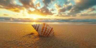 Beautiful seashell resting on sandy beach during sunset with vibrant clouds and ocean waves in the background photo