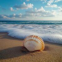Beautiful seashell resting on the sandy beach with gentle waves rolling in under a cloudy sky during sunset photo
