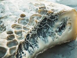 Close-up view of blue cheese showcasing its distinct texture and marbling photo