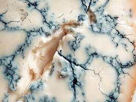 Explore the rich texture and unique appearance of blue cheese with intricate veining and contrast in color and structure photo